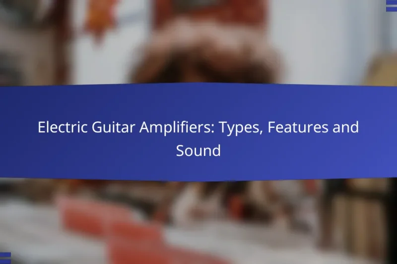 Electric Guitar Amplifiers: Types, Features and Sound