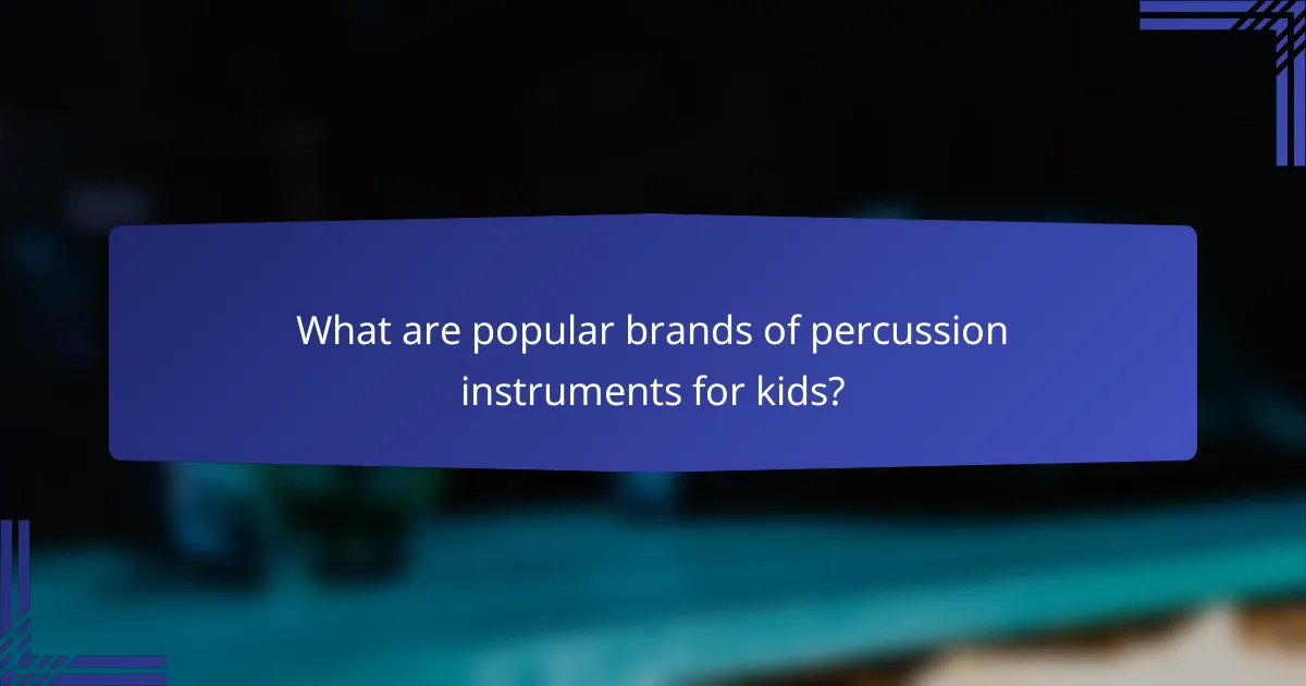 What are popular brands of percussion instruments for kids?