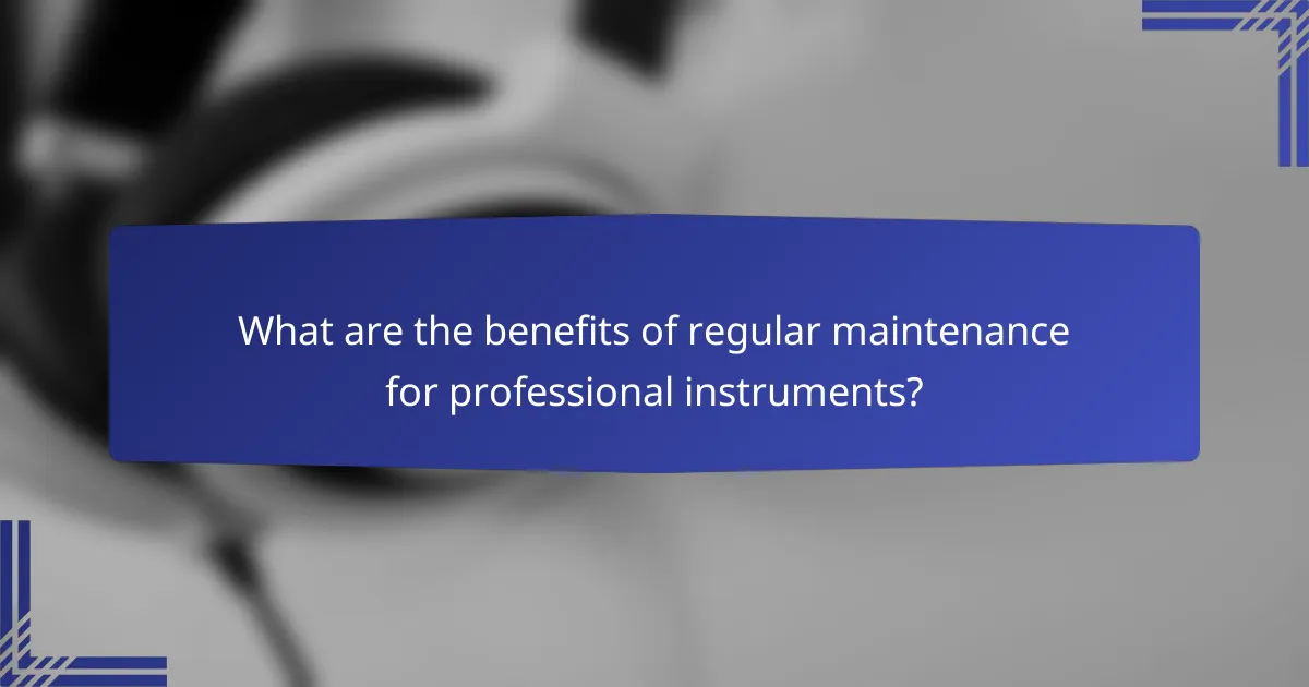 What are the benefits of regular maintenance for professional instruments?