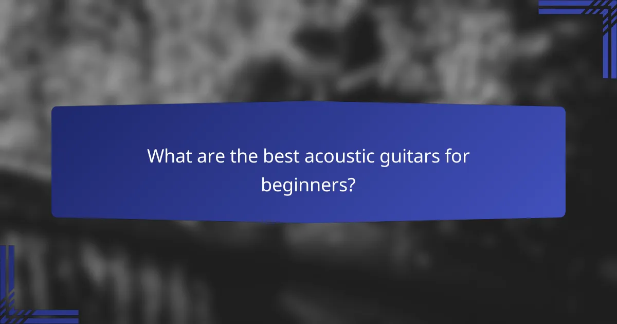 What are the best acoustic guitars for beginners?