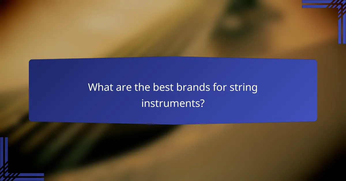 What are the best brands for string instruments?