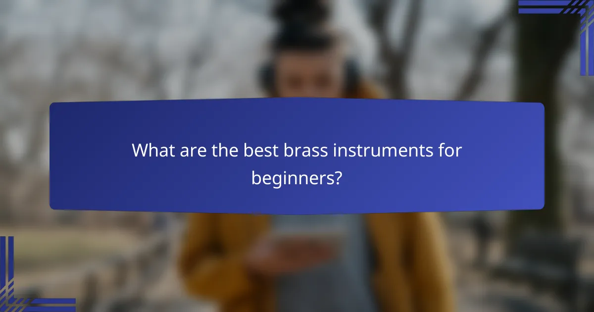 What are the best brass instruments for beginners?