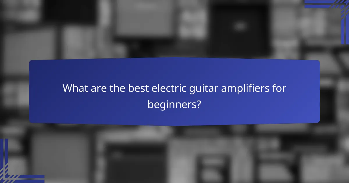 What are the best electric guitar amplifiers for beginners?