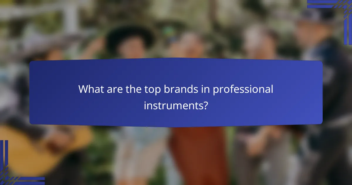 What are the top brands in professional instruments?