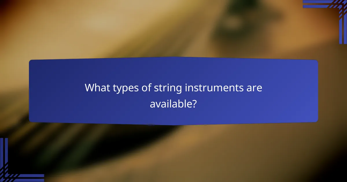 What types of string instruments are available?